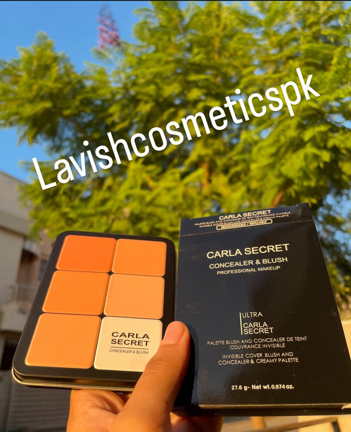 CARLA SECRET CREAMY BLUSH AND CONCEAL PALETTE